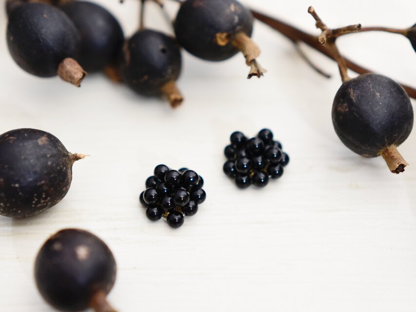 【イヤリング】ブラックベリー ブラックオニキスの実