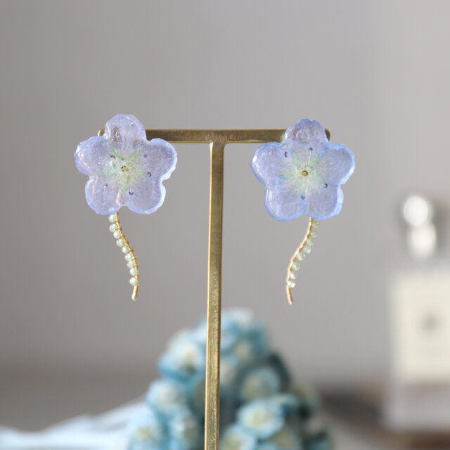 本物のネモフィラとペリドットのピアス／イヤリング #1269