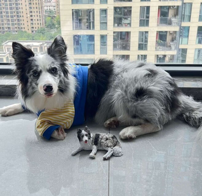 【受注作製】ペットギフト うちの子 写真入り 犬人形 フィギュア、名入れ 愛犬 肖像画 似顔絵❤ペットロス、誕生日、記念日