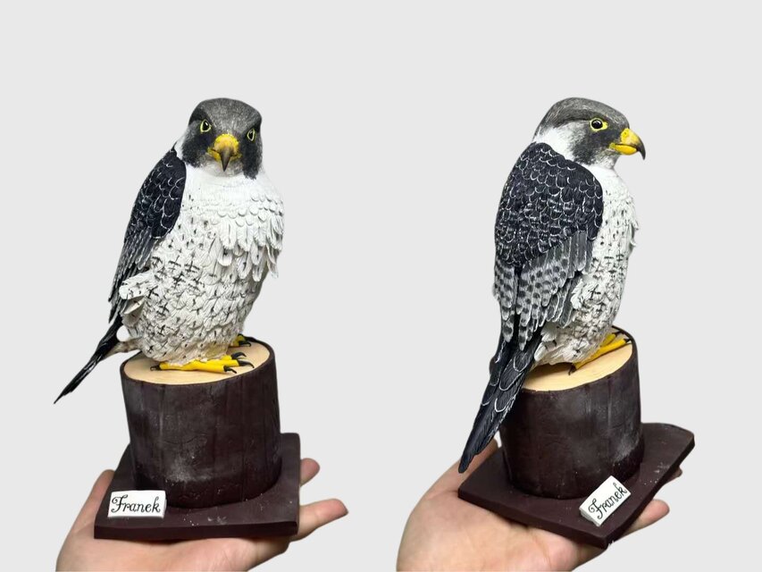 【受注作製】ペットギフト うちの子 オウム 鳥 写真入り 人形 フィギュア、名入れ 似顔絵❤ペットロス、誕生日、記念日のコピー