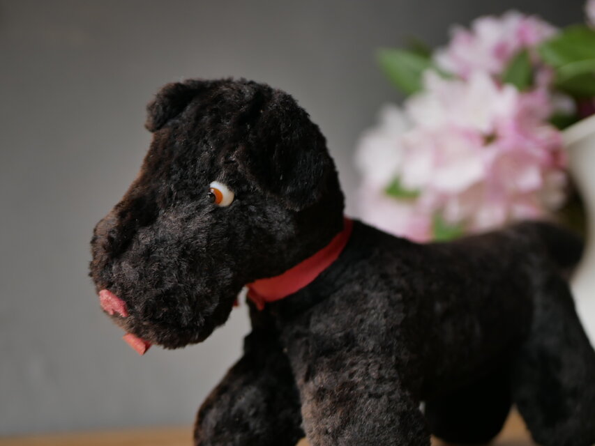 フランス　イギリス　アンティーク　ぬいぐるみ　DOG　犬　ワンちゃん　ブロカント フランスアンティーク 犬 ぬいぐるみ ベージュ dog | Brocante