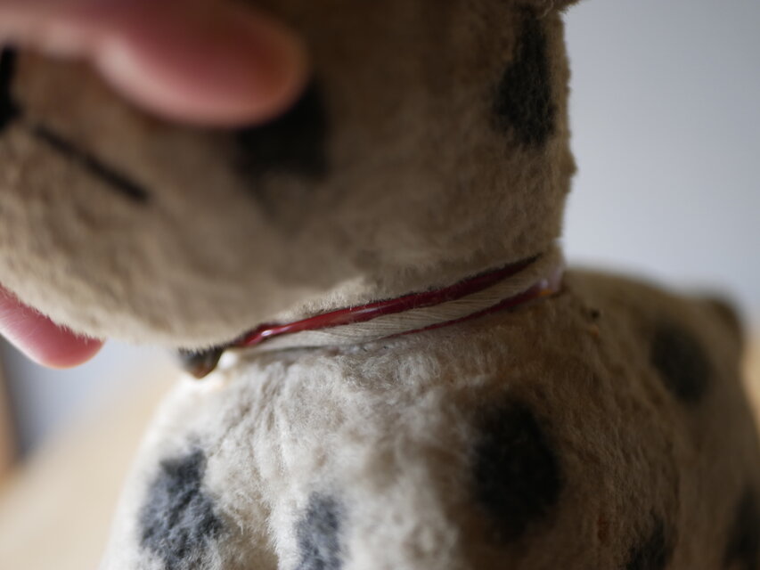 ドット柄のワンちゃん　犬　アンティークトイ　ぬいぐるみ　フランスアンティーク ドット柄のワンちゃん 犬 アンティークトイ ぬいぐるみ フランス