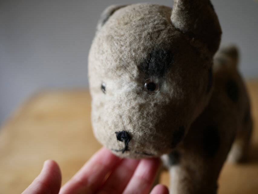 ドット柄のワンちゃん　犬　アンティークトイ　ぬいぐるみ　フランスアンティーク ドット柄のワンちゃん 犬 アンティークトイ ぬいぐるみ フランス