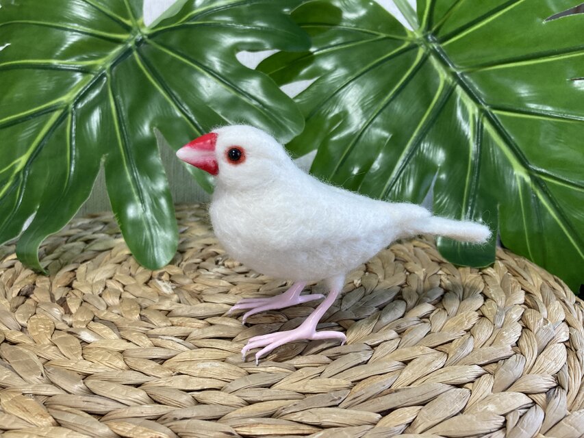 羊毛フェルト白文鳥