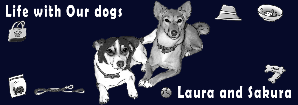 オーダーメイド/うちの子/名入れ/ドライTシャツ/オリジナル/わんこ