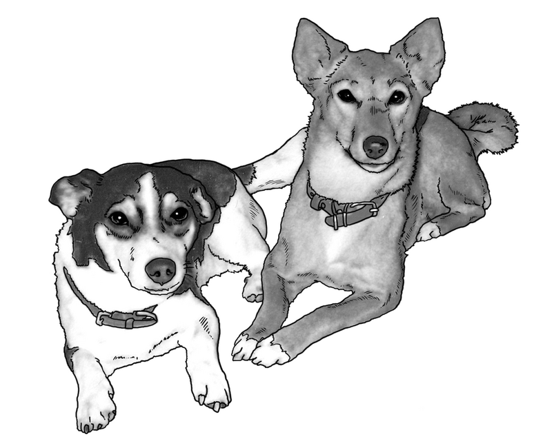 オリジナルイラスト　犬(ハンドメイド) 購入不可 オリジナル 生地 ブロックデザイン ハンドメイド素材 クラフト 犬柄 犬