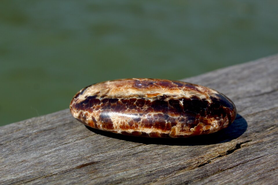 カプチーノカルサイト　パームストーン