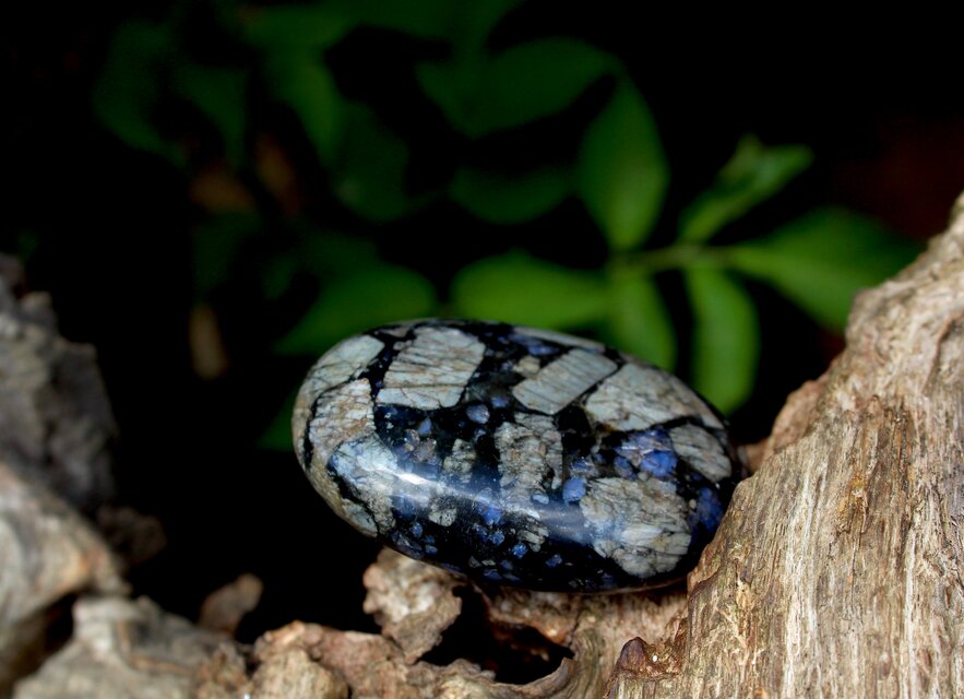 ケ・セラ・ストーン　パームストーン