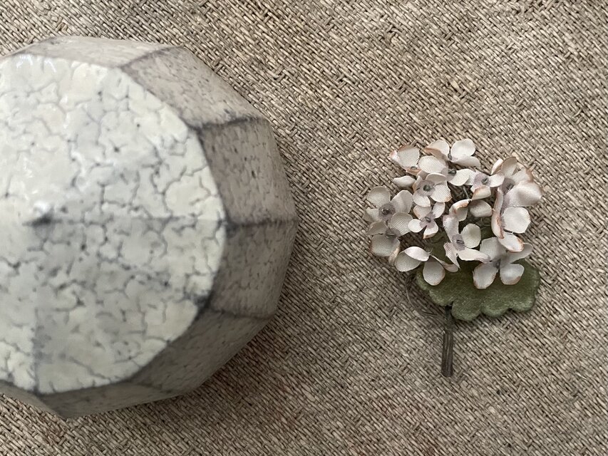 『白あじさい』　茎短