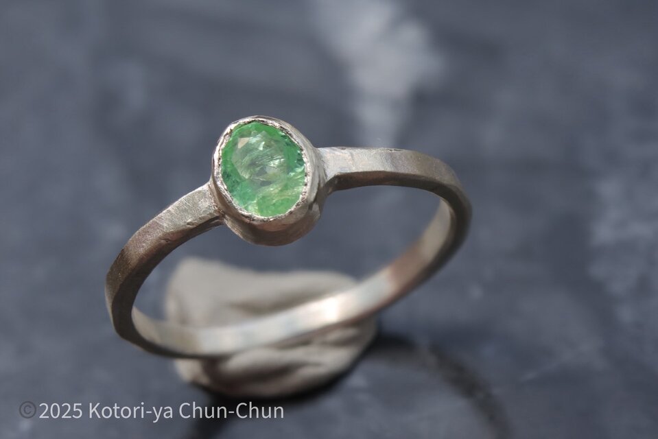 【GW目玉商品】宝石好きの憧れ　モザンビーク産パライバトルマリン・シルバーリング【ELF】