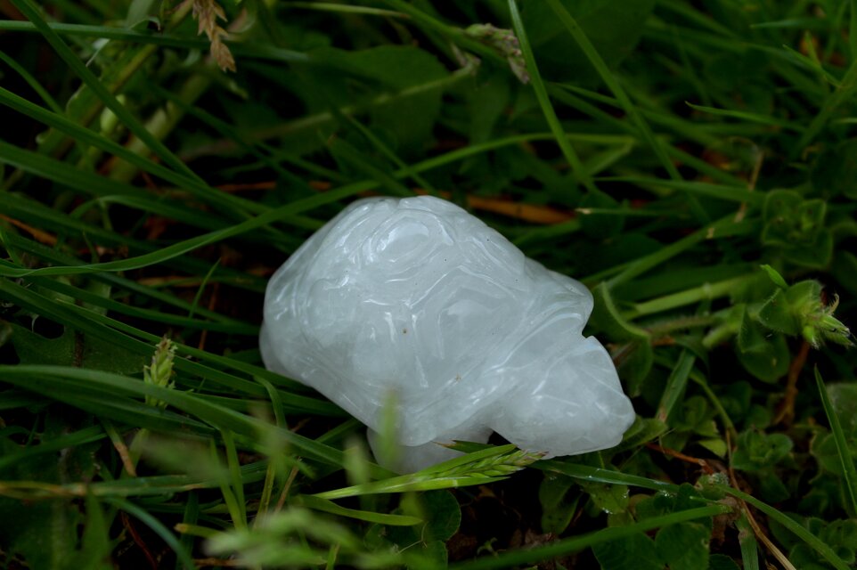 水晶 亀 | iichi 日々の暮らしを心地よくするハンドメイドや