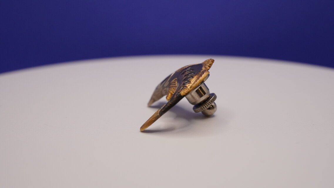 躍動感が魅力的な【ブラックバス】釣好き、お魚好きの心をくすぐる