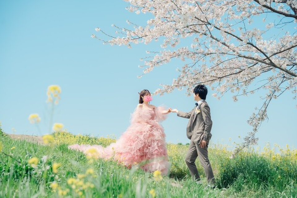 実例写真！カラードレス ピンク もこもこドレス リボン 編み上げ