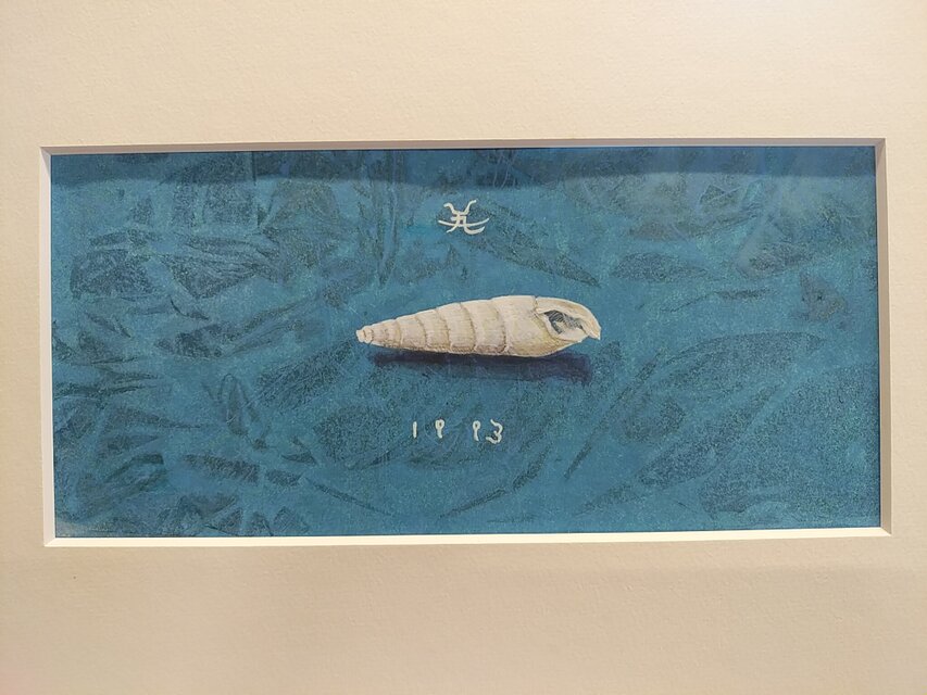 アクリル「ナガタケノコカニモリ貝」