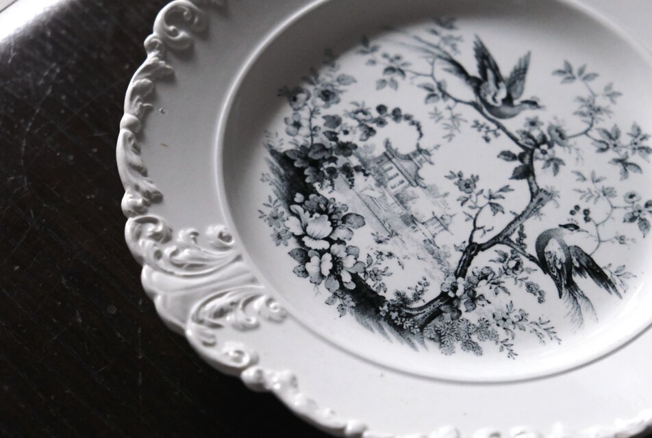 フランス アンティーク ボルドー窯 David JOHONSTON グリザイユ フランス ボルドー窯 David Johnson & Co アンティーク