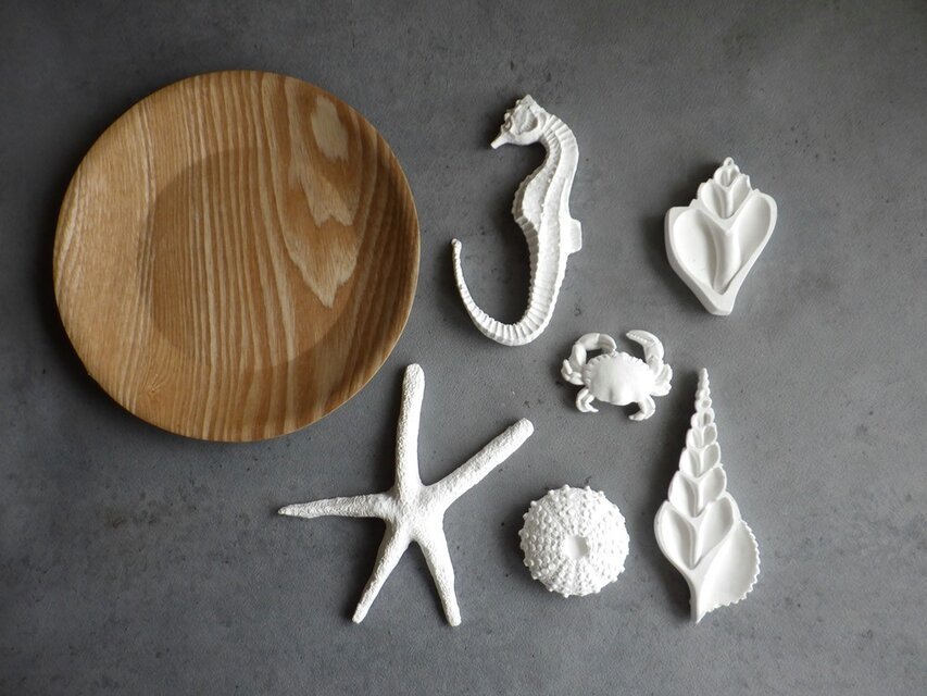 アロマストーンOceanセット アロマストーンシェル&ハーバリウム海