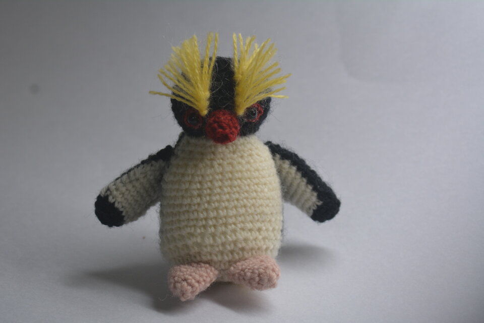 イワトビペンギン