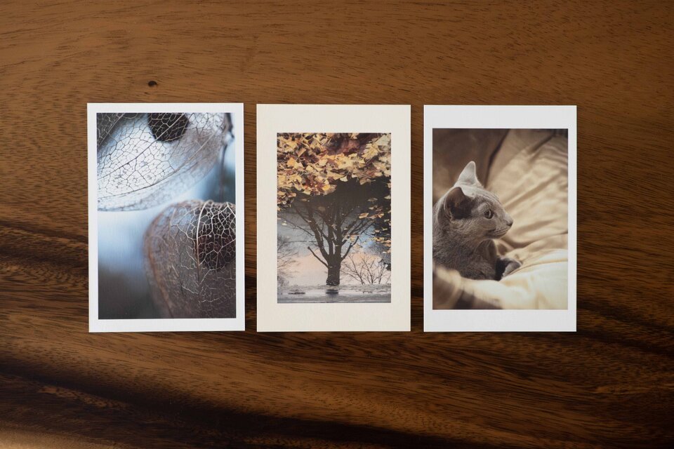 ポストカード３枚セット