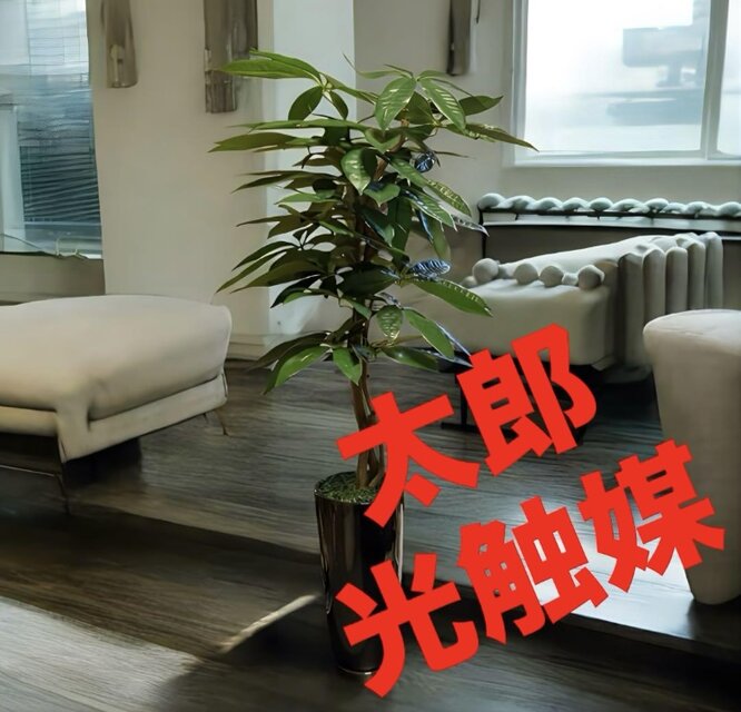 光触媒　人工観葉植物　ウォールグリーン　フェイクグリーン　スリムパキラ10346