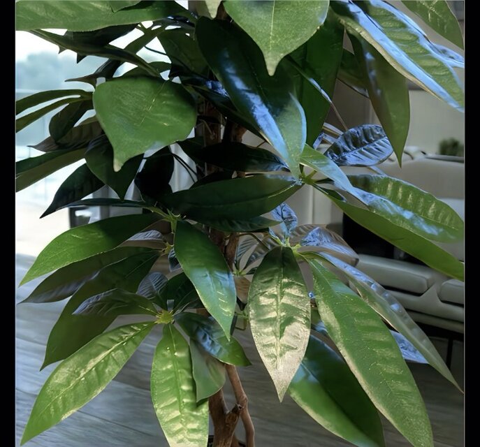 光触媒　人工観葉植物　ウォールグリーン　フェイクグリーン　スリムパキラ10346 光触媒 人工観葉植物 ウォールグリーン フェイクグリーン スリムパキラ