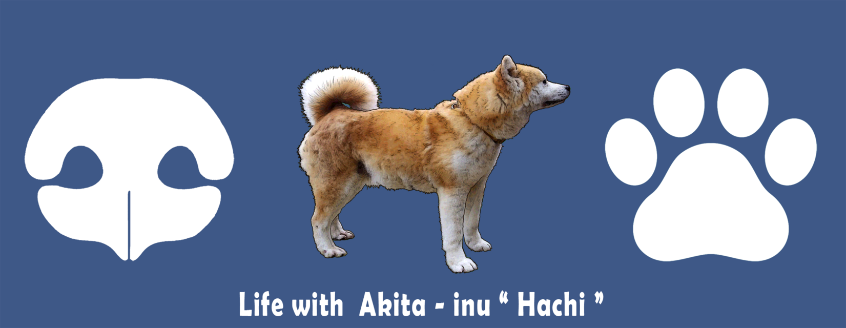 ゆきのお散歩※゜様の専用ページ マザーガーデン とことこお散歩シリーズ 《げんきな柴犬ちゃん