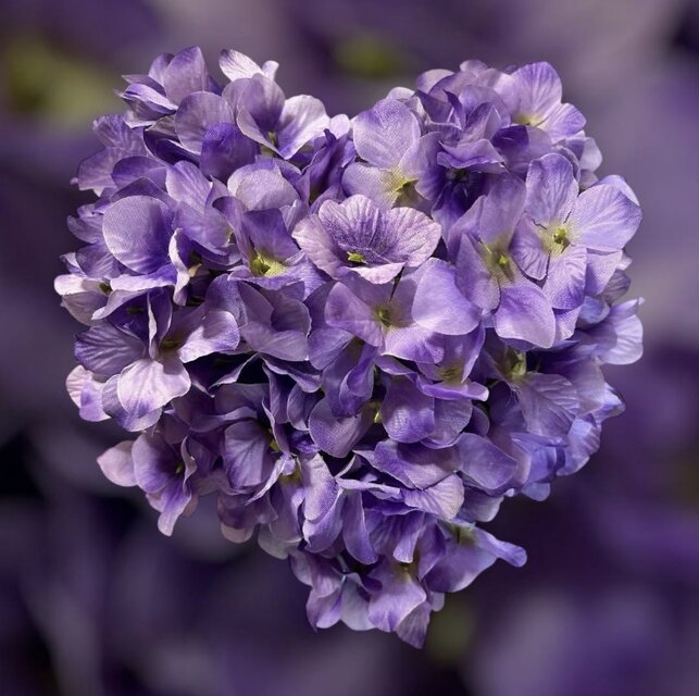 光触媒 人工観葉植物 ウォールグリーン フェイクグリーン ハート