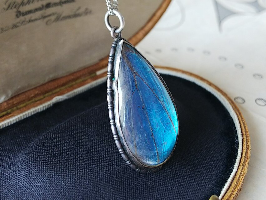 アンティーク／ヴィンテージ　ネックレス　モルフォ蝶 Amazon | [ゼフィリティスモルフォ] 本物の蝶の翅 モルフォ蝶