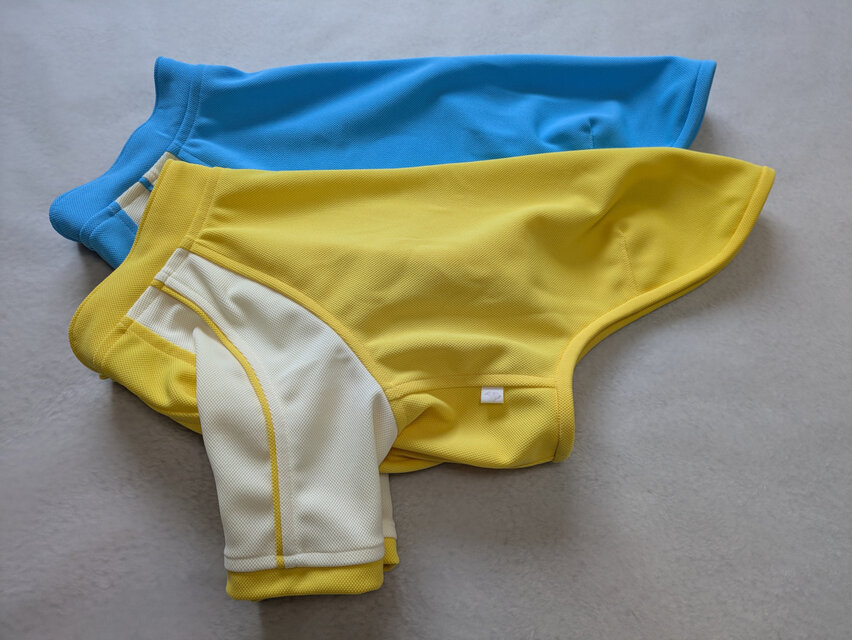 犬服　Ｔ様オーダーメイド品：ウィペット用ラグランＴシャツ２着