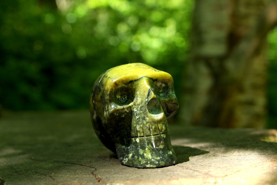 サーペンタイン　スカル