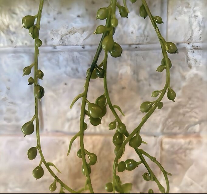 光触媒 人工観葉植物 ウォールグリーン フェイクグリーン 壁掛け596540