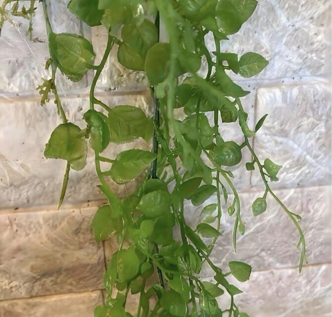 光触媒　人工観葉植物　ウォールグリーン　フェイクグリーン　壁掛けクリスティピンク 光触媒 人工観葉植物 ウォールグリーン フェイクグリーン 壁掛け
