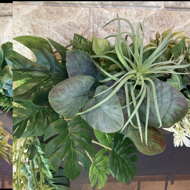 光触媒、人工観葉植物、ウォールグリーン　フェイクグリーン　壁掛け　絵画セット60 光触媒、人工観葉植物、ウォールグリーン フェイクグリーン