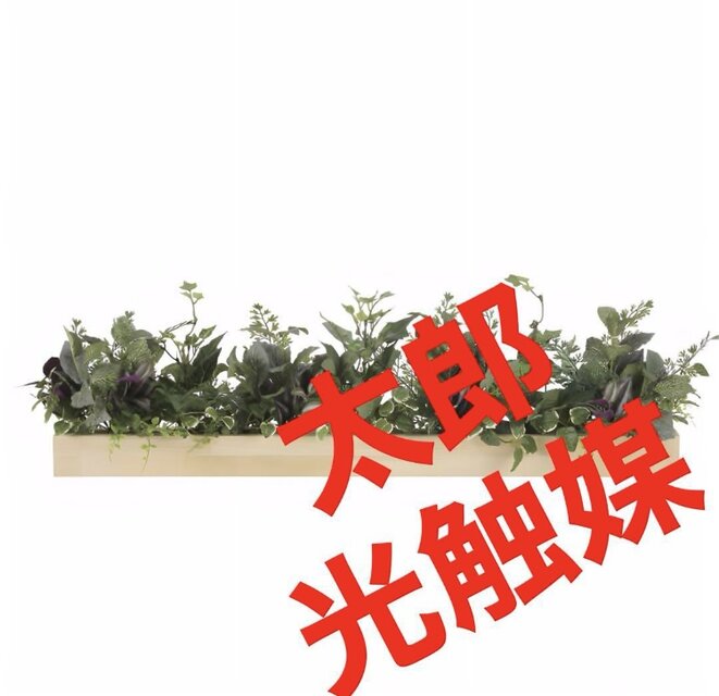 光触媒　人工観葉植物　ウォールグリーン　フェイクグリーン　ウッドボックスDX 光触媒 人工観葉植物 ウォールグリーン フェイクグリーン ウッド