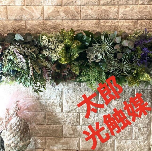 光触媒 人工観葉植物 ウォールグリーン フェイクグリーン 壁掛け