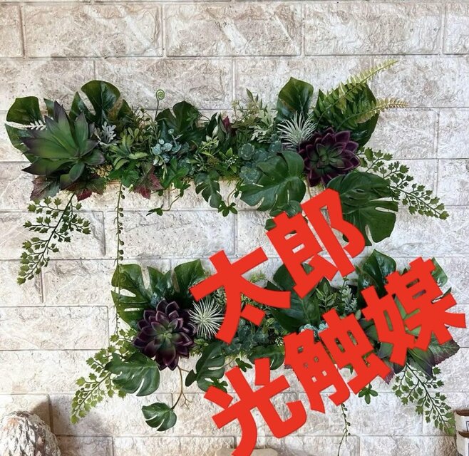 光触媒　人工観葉植物　ウォールグリーン　フェイクグリーン　パスカリ 光触媒 人工観葉植物 ウォールグリーン フェイクグリーン