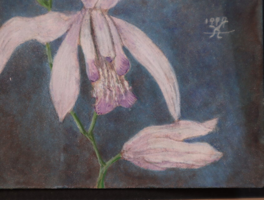 水彩「白花紫蘭」 | iichi 日々の暮らしを心地よくするハンドメイドや