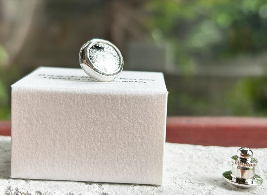 ムオニオナルスタ隕石（メテオライト）シルバータイタック・ピンズ