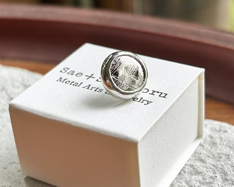 ムオニオナルスタ隕石（メテオライト）シルバータイタック・ピンズ