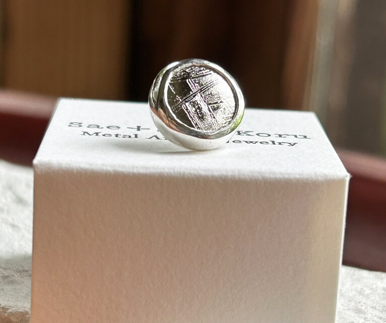 ムオニオナルスタ隕石（メテオライト）シルバータイタック・ピンズ