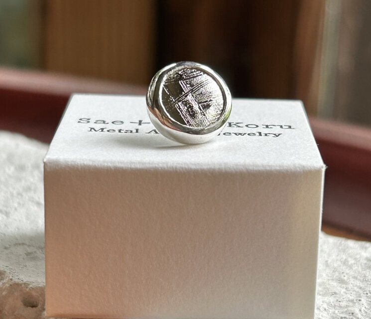 ムオニオナルスタ隕石（メテオライト）シルバータイタック・ピンズ