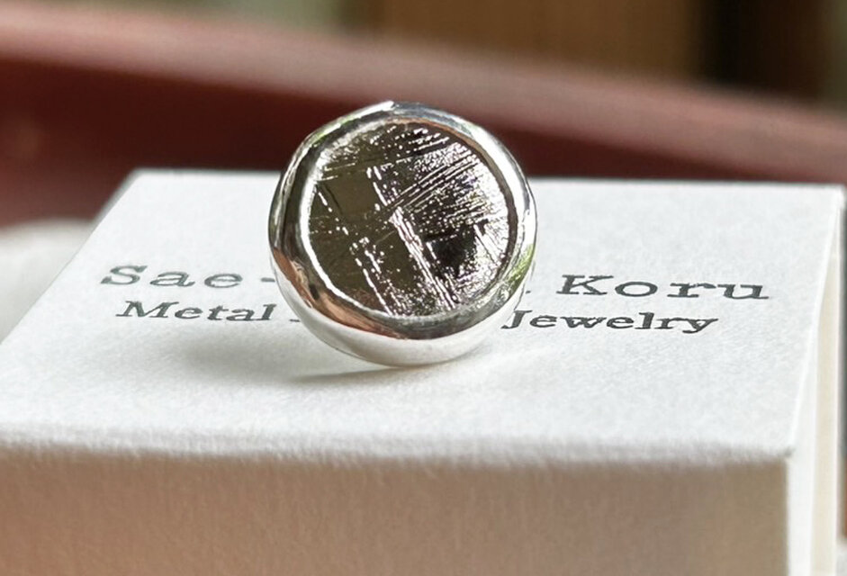 ムオニオナルスタ隕石（メテオライト）シルバータイタック・ピンズ