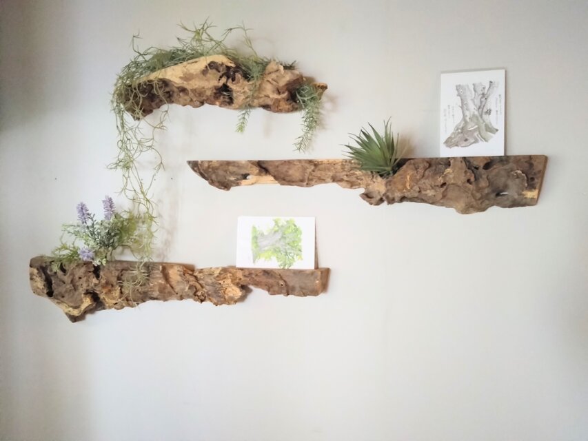 樫・古木のアンティークディスプレイ ウォールラック ～ ポストカード