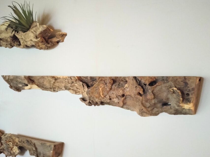 樫・古木のアンティークディスプレイ ウォールラック ～ ポストカード