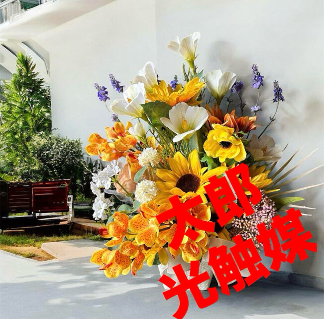 光触媒 人工観葉植物 ウォールグリーン 造花 アレンジ 胡蝶蘭と