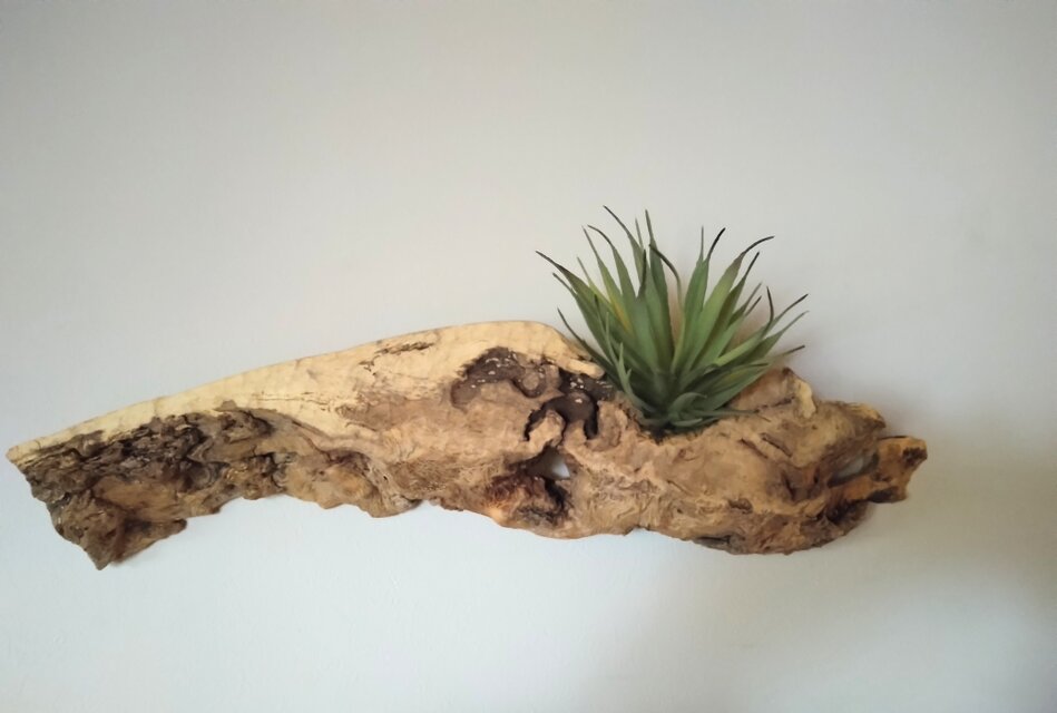 樫・古木のアンティークディスプレイ ウォールラック 　