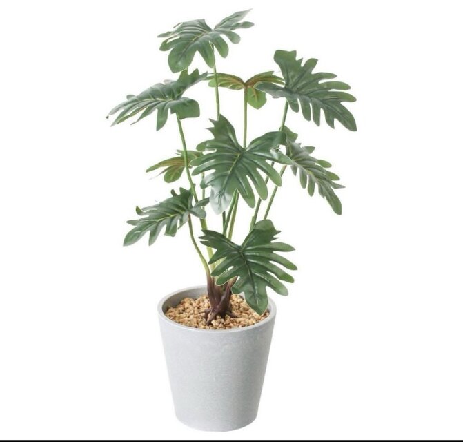 光触媒　人工観葉植物　ウォールグリーン　フェイクグリーン　アルテシマエレガンス2 光触媒 人工観葉植物 ウォールグリーン フェイクグリーン 壁掛け
