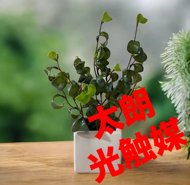 光触媒　人工観葉植物　ウォールグリーン　フェイクグリーン　ベンジャミンバロックw