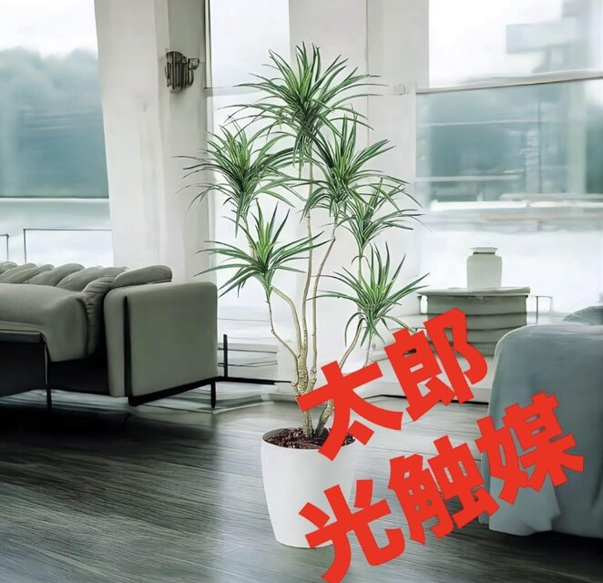 光触媒　人工観葉植物　ウォールグリーン　フェイクグリーン　コンシナトリコロル14 光触媒 人工観葉植物 ウォールグリーン フェイクグリーン コン