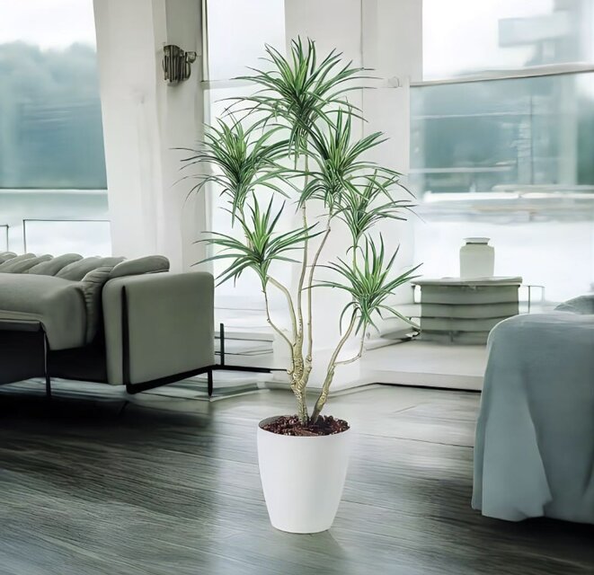 光触媒　人工観葉植物　ウォールグリーン　フェイクグリーン　コンシナトリコロル14 光触媒 人工観葉植物 ウォールグリーン フェイクグリーン コンシナ