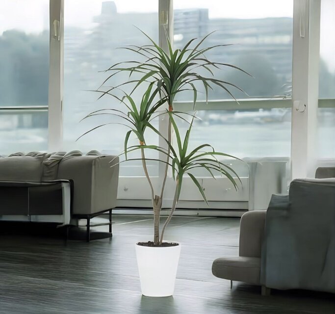 光触媒 人工観葉植物 ウォールグリーン フェイクグリーン 東北